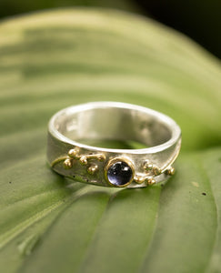 2417 Iolite Botany Ring